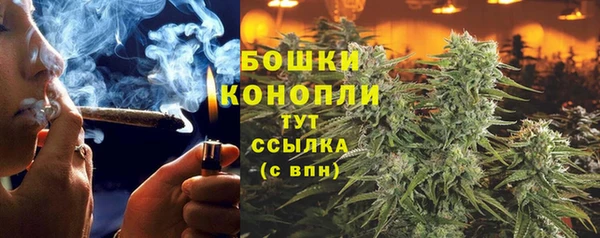 бутират Алзамай