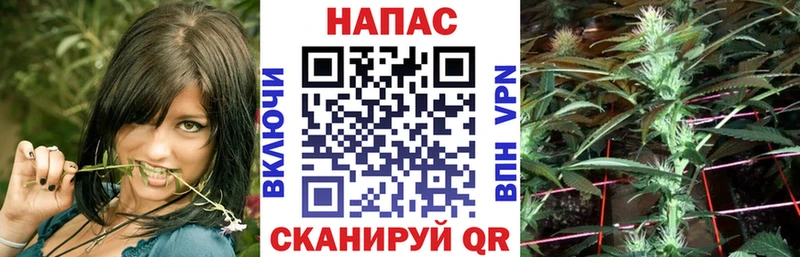 Шишки марихуана семена  Шимановск 